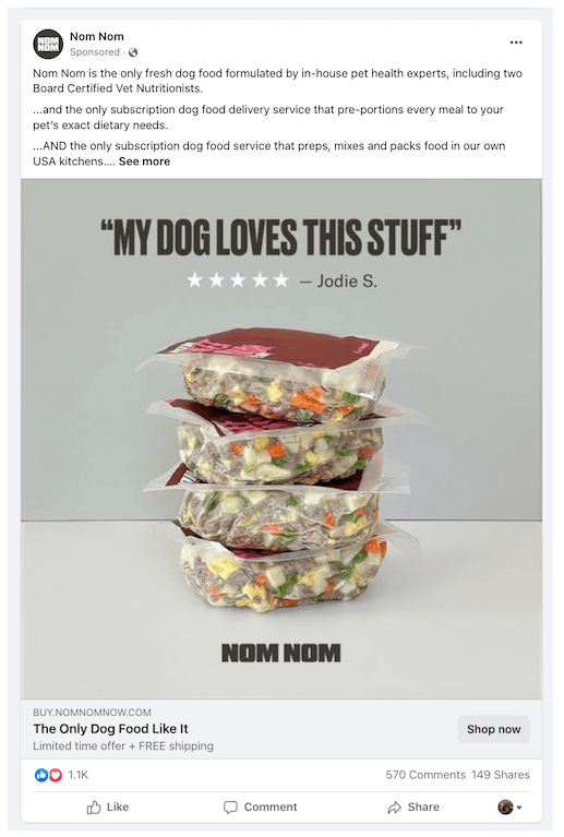 Stacked packs of fresh dog food with a customer testimonial above: ‘My dog loves this stuff’ and a five-star rating. Promotes Nom Nom’s personalized pet food subscription.